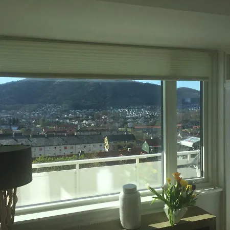 Panorama 10 Min Centrum Bergen