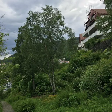 Panorama 10 Min Centrum Bergen